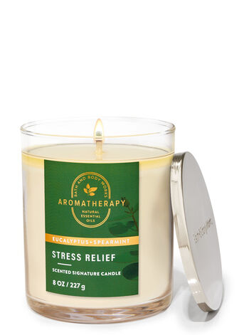 best bath & body works candle eucalyptus spearmint